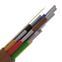 Image of CAB8/BR/100M