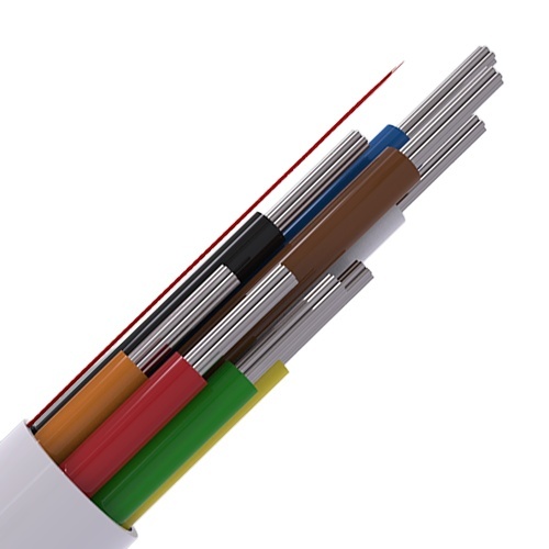 Image of CAB8/WH/LSF/100