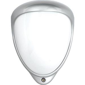 D-Tect 1 Silver Housing/White Cover